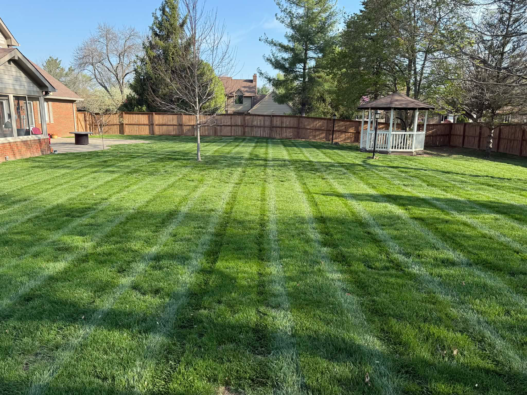 grass